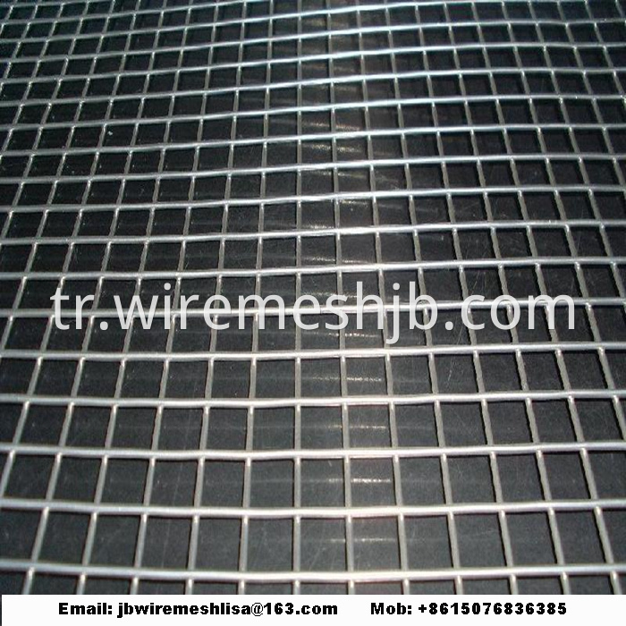 Hot-dip Galvanized Welded Wire Mesh Panel